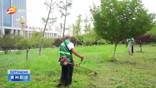 濰坊青州 加強園林綠化管護 提升城市綠色品質(zhì)
