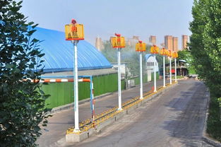 邯鄲洗選廠榮獲 全國綠化模范單位