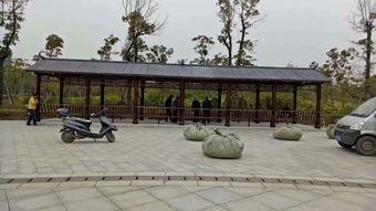 生態木花架與體育場地設施工程施工 價格、耐用性與施工指南